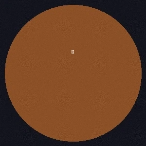 用户王晓婷头像